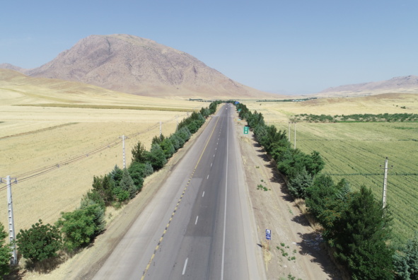 عکس‌های جنگل