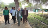 بازدید مجری طرح کاشت یک میلیارد درخت از نهالستان باغو بندرعباس