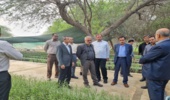 رئیس سازمان منابع طبیعی و آبخیزداری کشور در بازدید از نهالستان بندرعباس: هرمزگان پیشرو در تولید نهال است