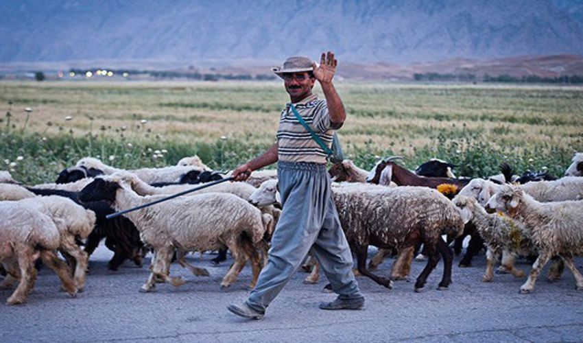 جناب آقای مهندس محمدپور از روسای محترم دفتر آموزش، ترویج و مشارکتهای مردمی به عنوان سرپرست جدید مجتمع آموزش و توانمندسازی بهره برداران منابع طبیعی و آبخیزداری مهندس ساعی کلارآباد معرفی شد.