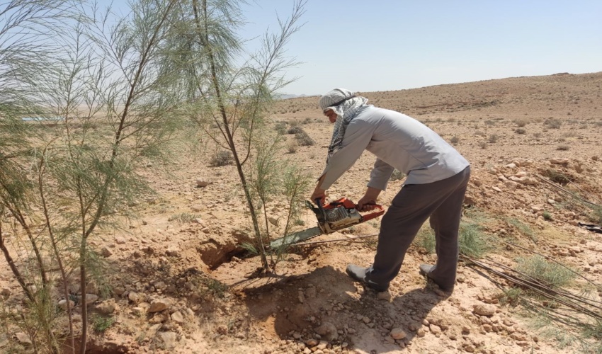 وزیر جهاد کشاورزی: اهداف منابع طبیعی با مشارکت مردم تحقق پیدا می کند