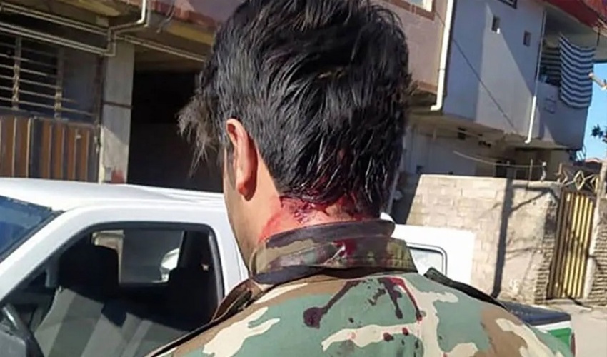 حجت الاسلام شهاب مرادی: درختکاری را از دوران مدرسه در کودکان نهادینه کنیم/ استارتاپ ها پای کار بیایند