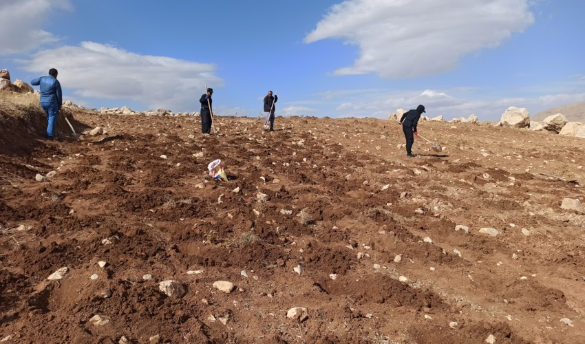  چهارمحال/آغاز اجرای عملیات بیولوژیک در سطح 800 هکتار از مراتع استان