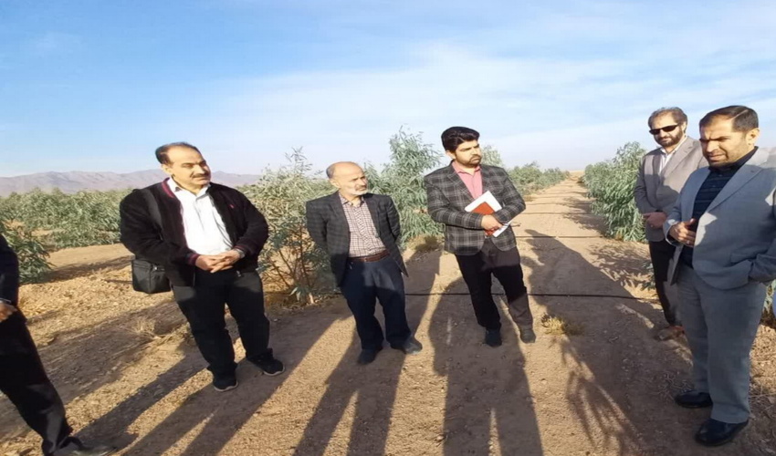 در آستانه فرا رسیدن هفته بسیج؛ اردوی فرهنگی پایگاه مقاومت بسیج سازمان منابع طبیعی در کرمان برگزار شد