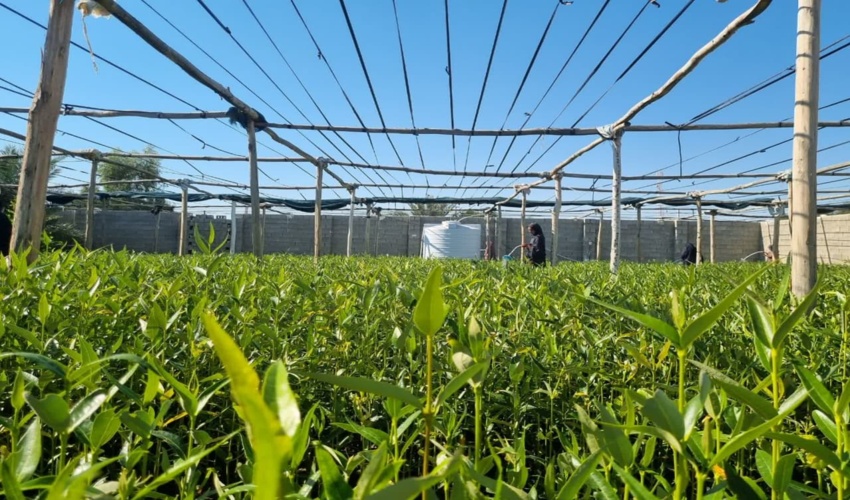  توانمندسازی مردم باید با روش های علمی انجام شود