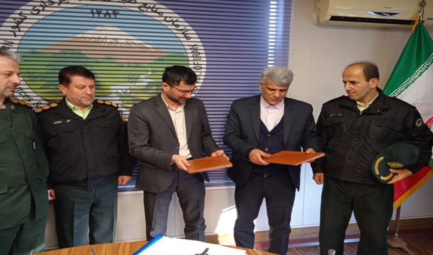 گیلان/ کاشت ۳۲ میلیون درخت در سایت های گردشگری گیلان